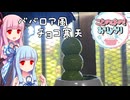 【用量厳守】ことのはの！おりょうり１品目【チョコ？寒天】