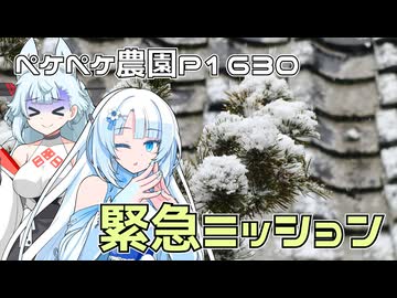 2026年2月8日　農作業日誌P1630　午後からの出稼ぎで、雪が降って降りまくる