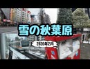 【秋葉原散策】雪の秋葉原【積雪】