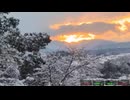 2026/2/8配信分　その2