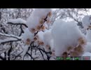 2026/2/8配信分　その１
