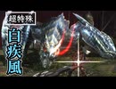 【超特殊】白疾風ナルガクルガ  乙ったら剣鬼もリセットー！【レンキン剣斧】