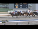 2026 由布院特別 (2勝クラス)　パフ