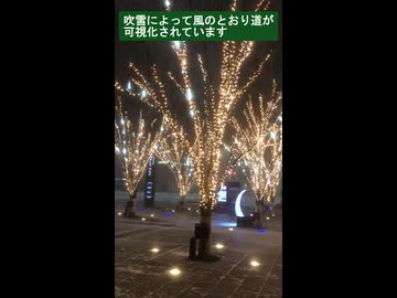 【仙台】吹雪が描く風のとおり道