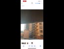 今日一の発見