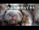 とろい私の株生活 #2│日記《下がったら困る銘柄》