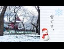 【臨時お散歩動画】東京・上野公園が銀世界になった