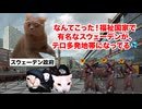 【スウェーデン 移民問題】手榴弾飛び交う銃撃戦が日常茶飯事！？修羅の国と化した福祉国家の末路 #猫マニ #猫ミーム