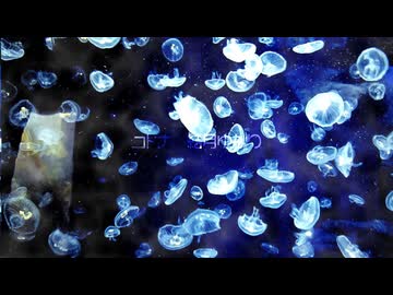 コトナ｜結月ゆかり