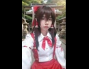博麗霊夢コスプレ