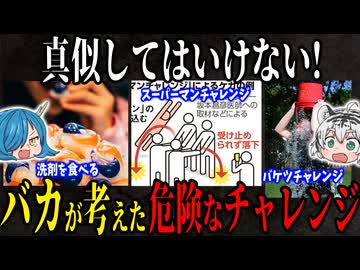 【SNSで流行】真似してはいけない！バカが考えた危険なチャレンジ