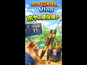 2026年2月9日のVlog ホヤの種採種