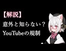【解説】どこが基準でBANされる？意外と知らないYouTubeの規則3選【VOICEVOX：小夜/SAYO】
