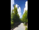 The afternoon road, the smell of the wind