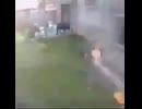メイソン・トロイ