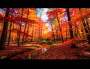 オータムバースト～紅葉のバラード