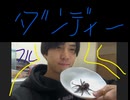 【　フル　】　ダンディー　昆虫食　タランチュラ　フライ　作った