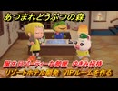 あつまれどうぶつの森　リゾートホテル開発　VIPルームを作る　誕生日パーティーな部屋　ゆきみ招待　＃３０８　【あつ森Switch2エディション】