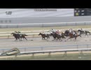 2026 大和ステークス (OP)　ポッドベイダー