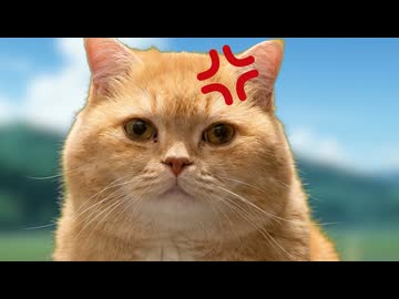 【猫ミーム】不登校の理由　中編