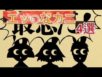 エッ〇なカニ集合体
