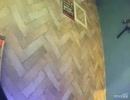 アンダーグラフ／ツバサ【うたスキ動画】