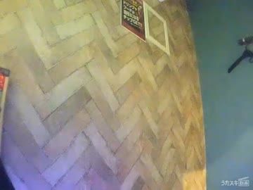 アンダーグラフ／ツバサ【うたスキ動画】