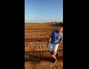 やじゅまんと見るroketto