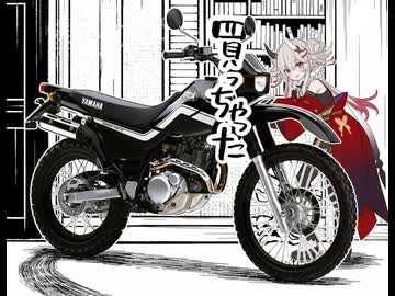 セロー225WE納車　初オフロードバイク　衝動買い蓮鬼ねむ未来の自分に託すローン！