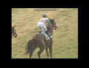 2006 デイリー杯クイーンＣ(GIII)　コイウタ