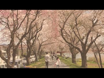 帰らぬ日々 / 初音ミク