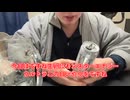 【完全栄養】【生存報告】　生卵10個にモンスターエナジーウルトラを混ぜたら最高のプロテインが完成しました1487日目