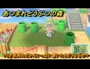 あつまれどうぶつの森　マリオ家具のどかんいっぱい置いたらどうなるの？　＃５５６　【あつ森】