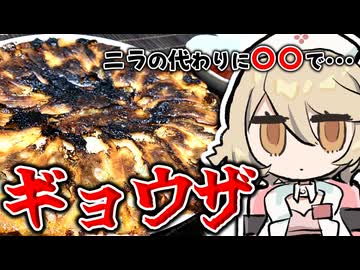 苦手なアイツもギョウザに包めば・・・！【ナースロボ＿タイプＴ】