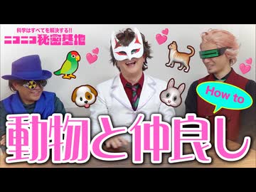 【お悩み相談】動物と仲良くなるにはどうすればいいの？