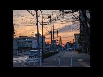 サラマンダー/MEIKO