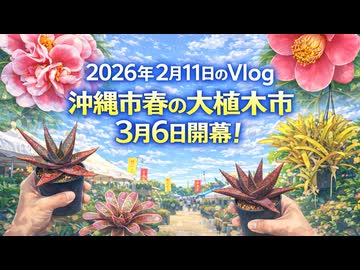 2026年2月11日のVlog 沖縄春の大植木市3月6日開幕！