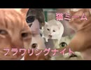 【猫ミーム音源だけで】フラワリングナイト