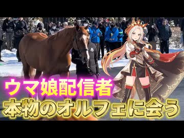 【Vlog】ウマ娘配信者が本物のオルフェーヴルに会いに行く。