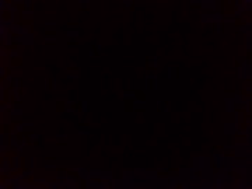VID_20260212_162845