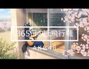 【ボダ子】365日の紙飛行機【ROSE】