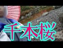 【日本庭園で】千本桜【歌ってみた】