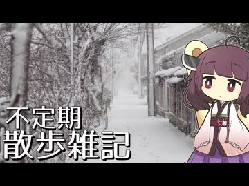 不定期散歩雑記_91 - 雪の日のお散歩