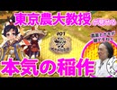 【サクナヒヌカ#01】農大の先生と一緒に稲作やってみた｜ゲームさんぽ