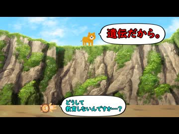 だって遺伝だから。