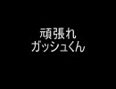 【RO】頑張れガッシュくん【odin鯖】