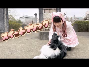 【バレンタイン！】スイートマジック 踊ってみた【音花ゆり】