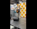 20260211 タワレコ川崎