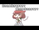 きゅうりvsノンフィクション　リベンジ