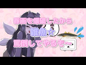 春画を爆破したから罵倒してやるぞ～(雑魚☆)